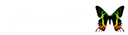 Sunset Moths Rock Band Logo